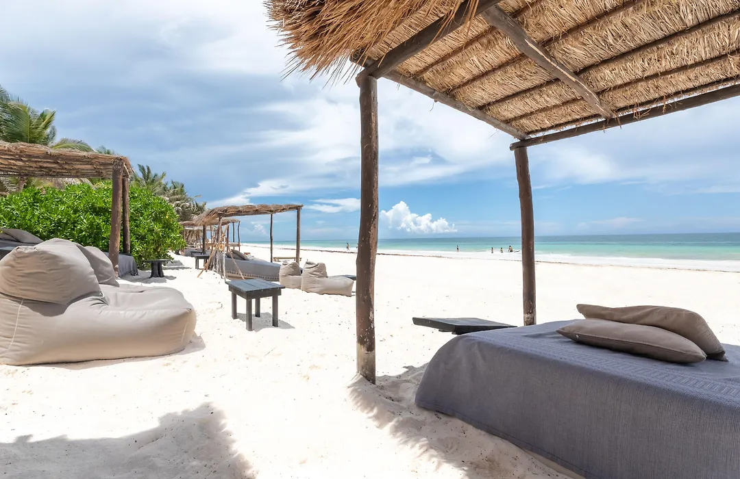 Nest Tulum-1