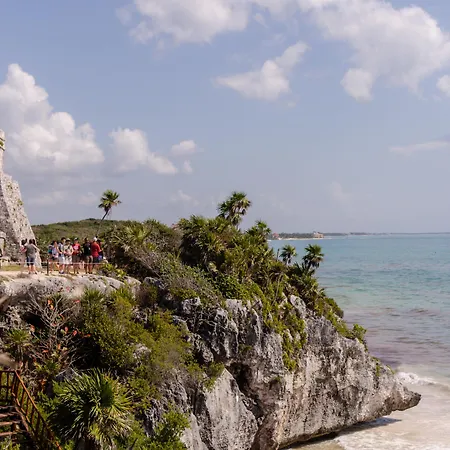 Nest Tulum-3